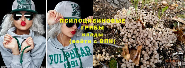 мет Аркадак