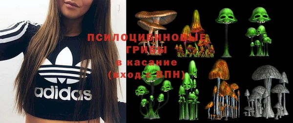винт Арсеньев