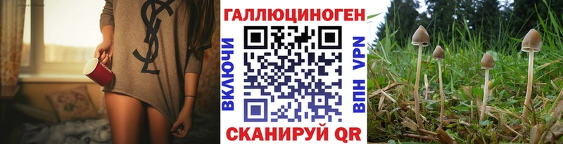Галлюциногенные грибы мицелий  Вязники 